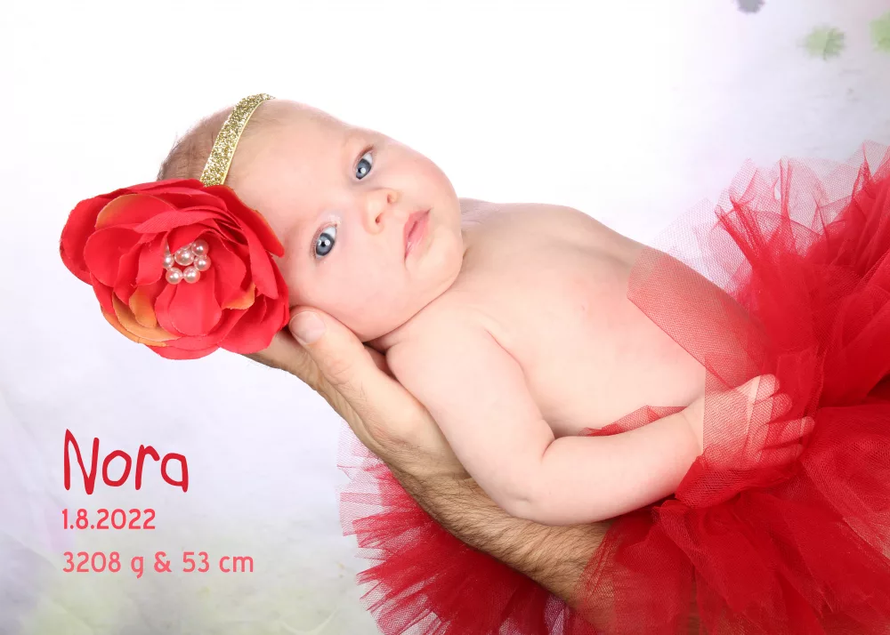 Big Love – Foto 42 von Atelier Lichtblick