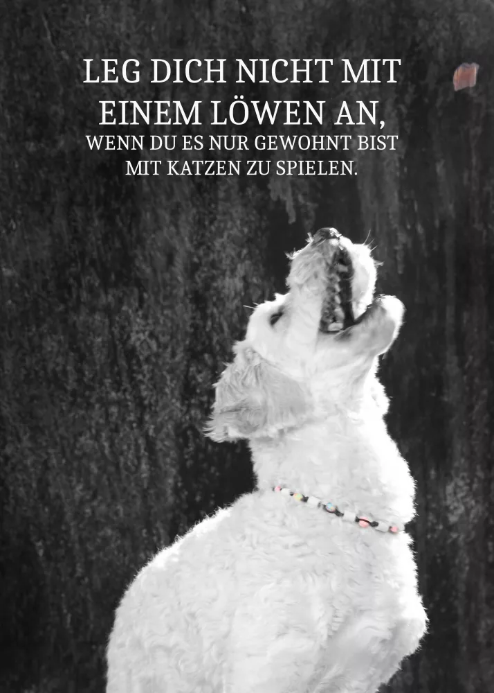 Portraits – Foto 31 von Atelier Lichtblick