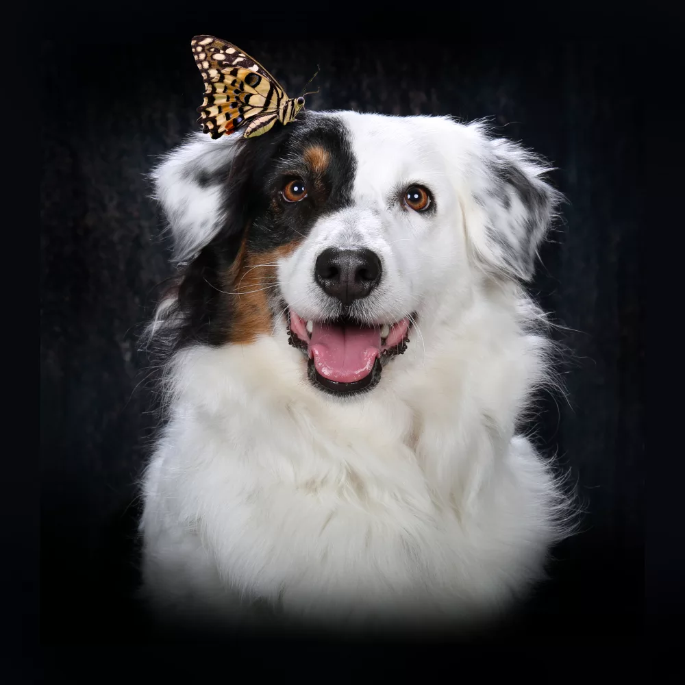 Portraits – Foto 13 von Atelier Lichtblick